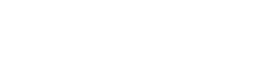 Professional Store Footer Logo